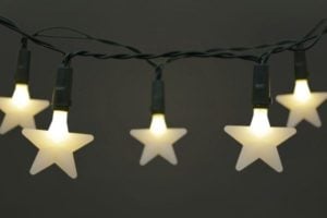 Battery Operated LED 20 X Warm White Frosted Star Light Set