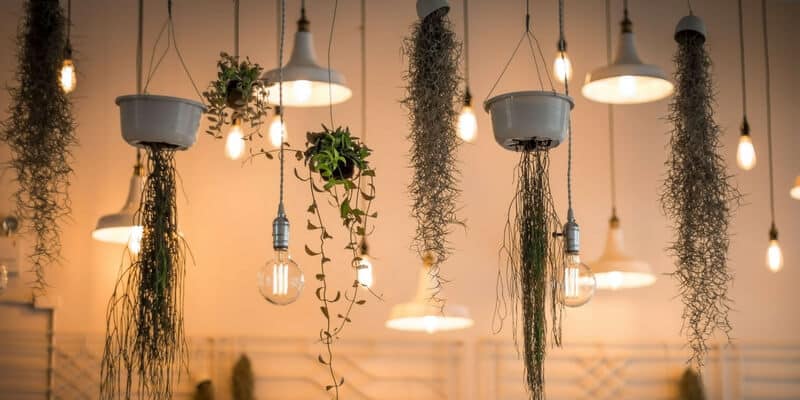 LED edison bulbs home decor