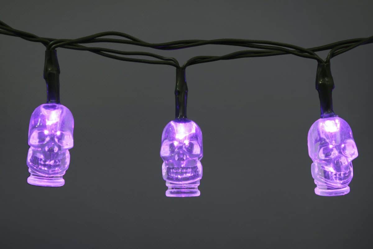 Halloween Battery Operated 10 LEDs Skull String Light Set