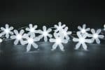 Battery Operated 20 LEDs White Frosted Flower Light Set