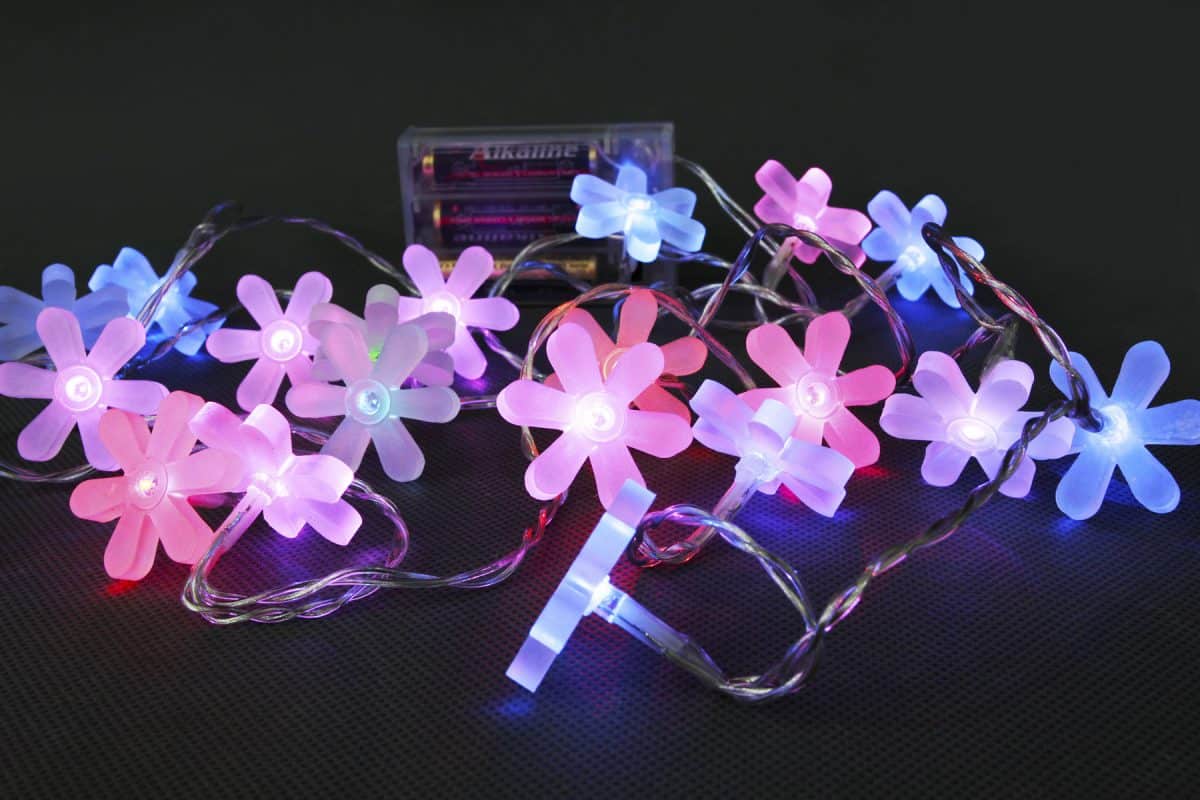 Battery Operated 20 LEDs Rainbow Frosted Flower Light Set
