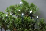 24volt 50 LEDs White Multi Function String Lights with Transformer Included