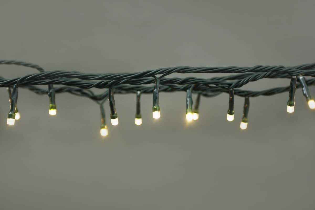 24volt 100 LEDs Warm White Multi Function LED String Lights with Transformer Included